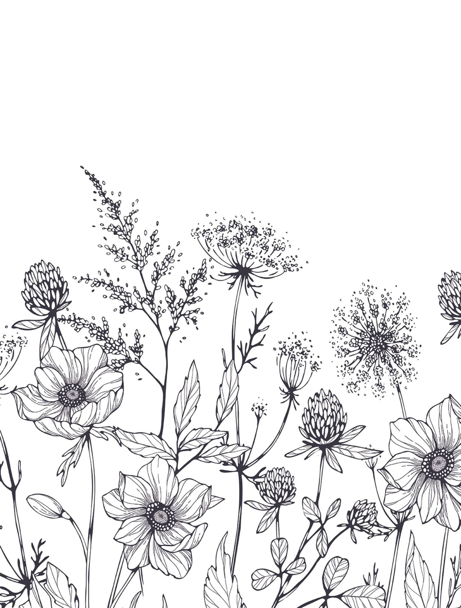 Designs Direct Meadow Bloom Sketch Black Wall Mural
